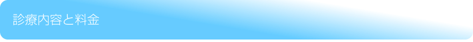 診療内容と料金