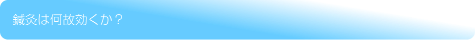 鍼灸は何故効くか?